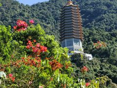 -深圳仙湖植物园