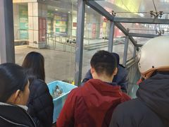-辽宁省实验中学