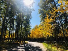 -中家鑫园温泉酒店鑫悦汤泉