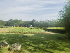 -郑州植物园