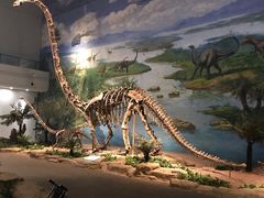 -自贡恐龙博物馆