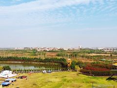 -武汉紫薇都市田园