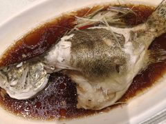 -紫阳富豪大酒店(惠南店)
