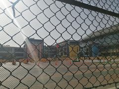 -北京第二实验小学