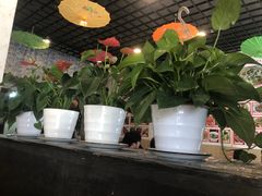 -臭桂鱼儿特色餐厅(朝晖七小区北区店)