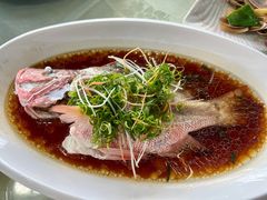 清蒸红鸡鱼-旺富东海大酒楼(海鲜街店)