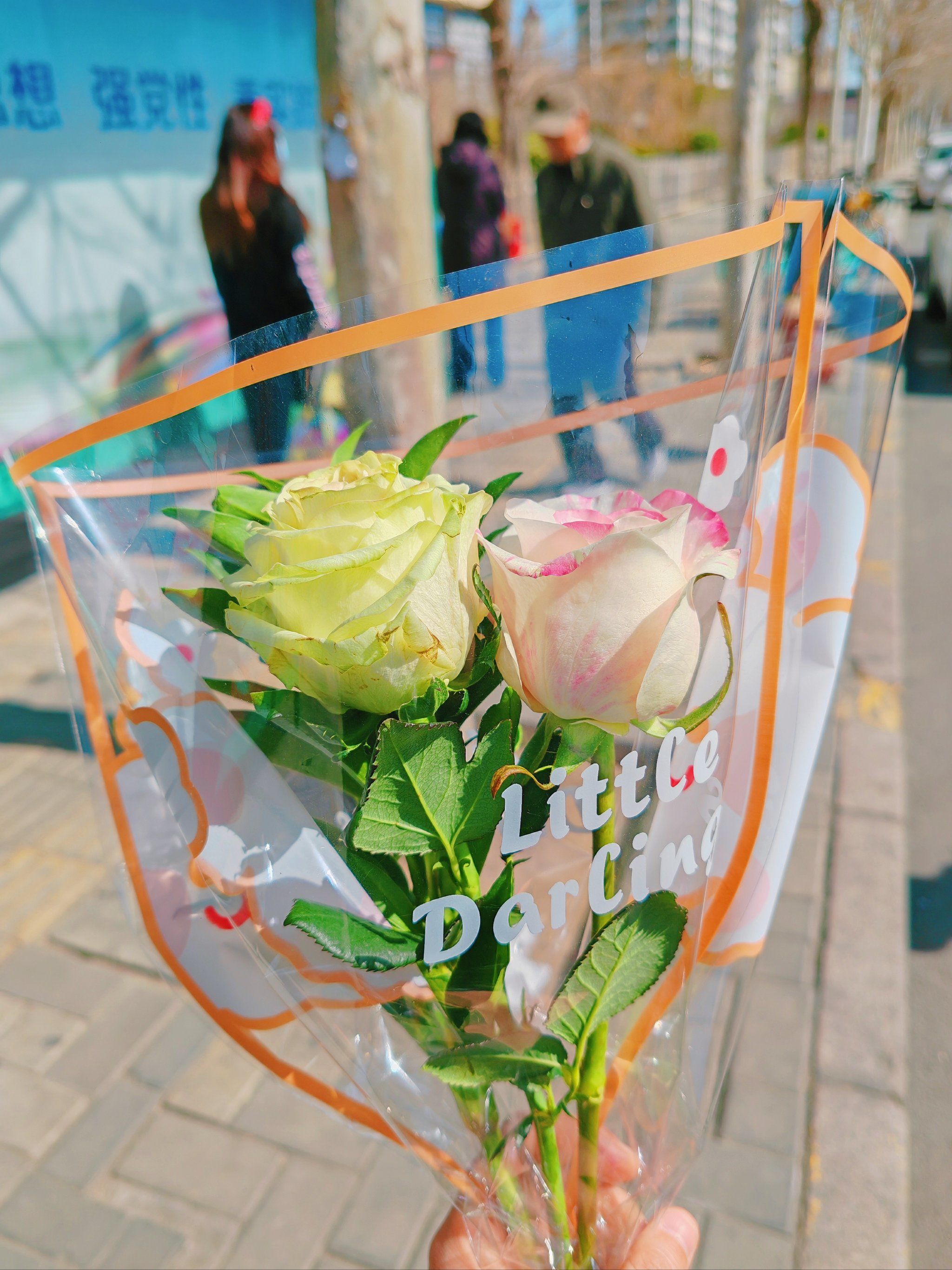 黄玫瑰,别流泪.所有的花你最美