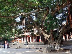 -莆田南少林寺
