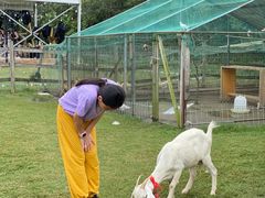 -前小桔亲子创意农场·草莓采摘·露营烧烤