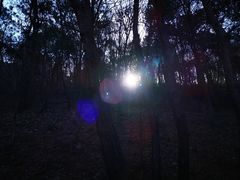 -南京市无想山景区