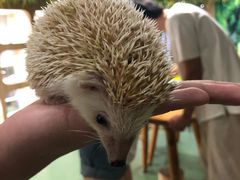 -藦茜花园宠物主题亲子互动体验馆(国顺东路店)