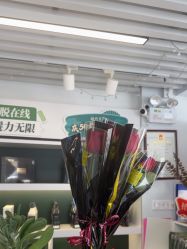 -章光101防脱养发荟