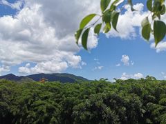 -亚龙湾国际玫瑰谷