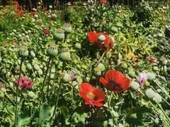 -国家植物园南园