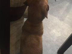 -炙热童年·老北京炙子烤肉(南锣鼓巷店)