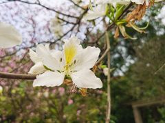 -华南国家植物园-售票处