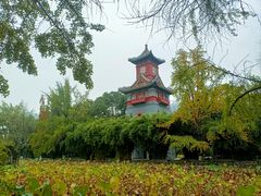 -四川大学(华西校区)