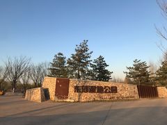 -东郊湿地公园