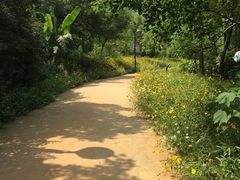 -西湖风景区-江洋畈生态公园