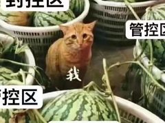 -全家便利店(上南路六店)