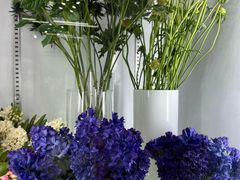 -双季花艺园艺市场(浦东店)