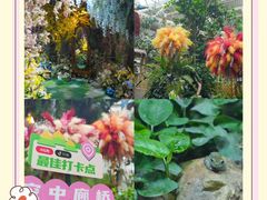 -正佳雨林生态植物园