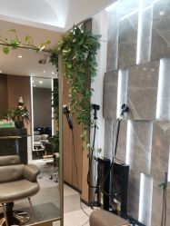 -SA MI hair salon烫染沙龙