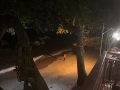 -卷心菜和避孕套餐厅(Pattaya)