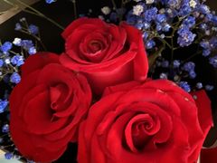 -循礼门鲜花花市(武汉循礼门店)