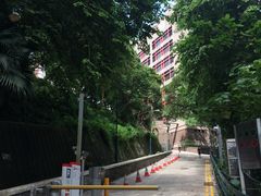 -香港大学