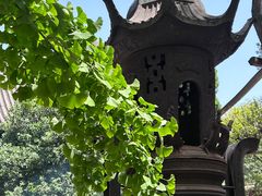-洛阳白马寺