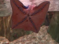 -沈阳海洋探索中心