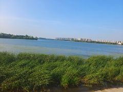 -丁香湖公园