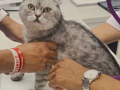 -PETKIT小佩宠物(古北店)