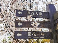 -南山植物园