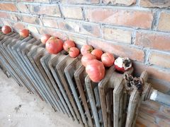 -万源龙顺度假庄园生态观光园