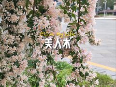 -炎黄艺术馆