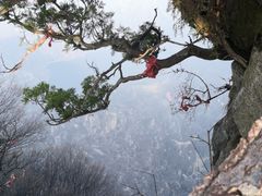 -秦岭终南山世界地质公园翠华山景区