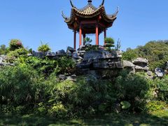 -顺峰山公园