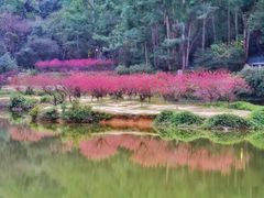 -南国桃园旅游度假区