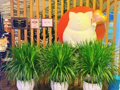 -猫爪爪原切自助烤肉(观音桥阳光世纪店)