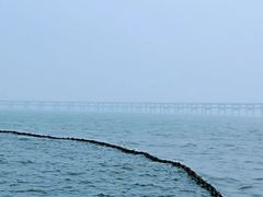 -星海湾跨海大桥