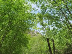 -十渡东湖港风景区