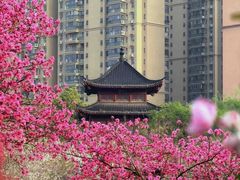 -堤角公园