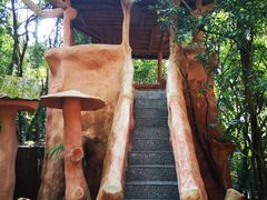 -天门沟九州驿站树上汤泉