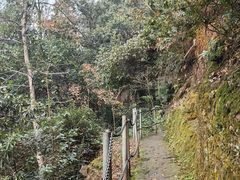 -浏阳石牛寨风景区