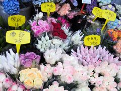 -循礼门鲜花花市(武汉循礼门店)