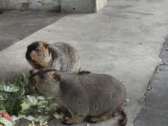 -攀枝花公园