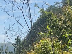 -楠溪江风景名胜区
