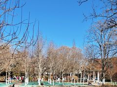 -睦南公园